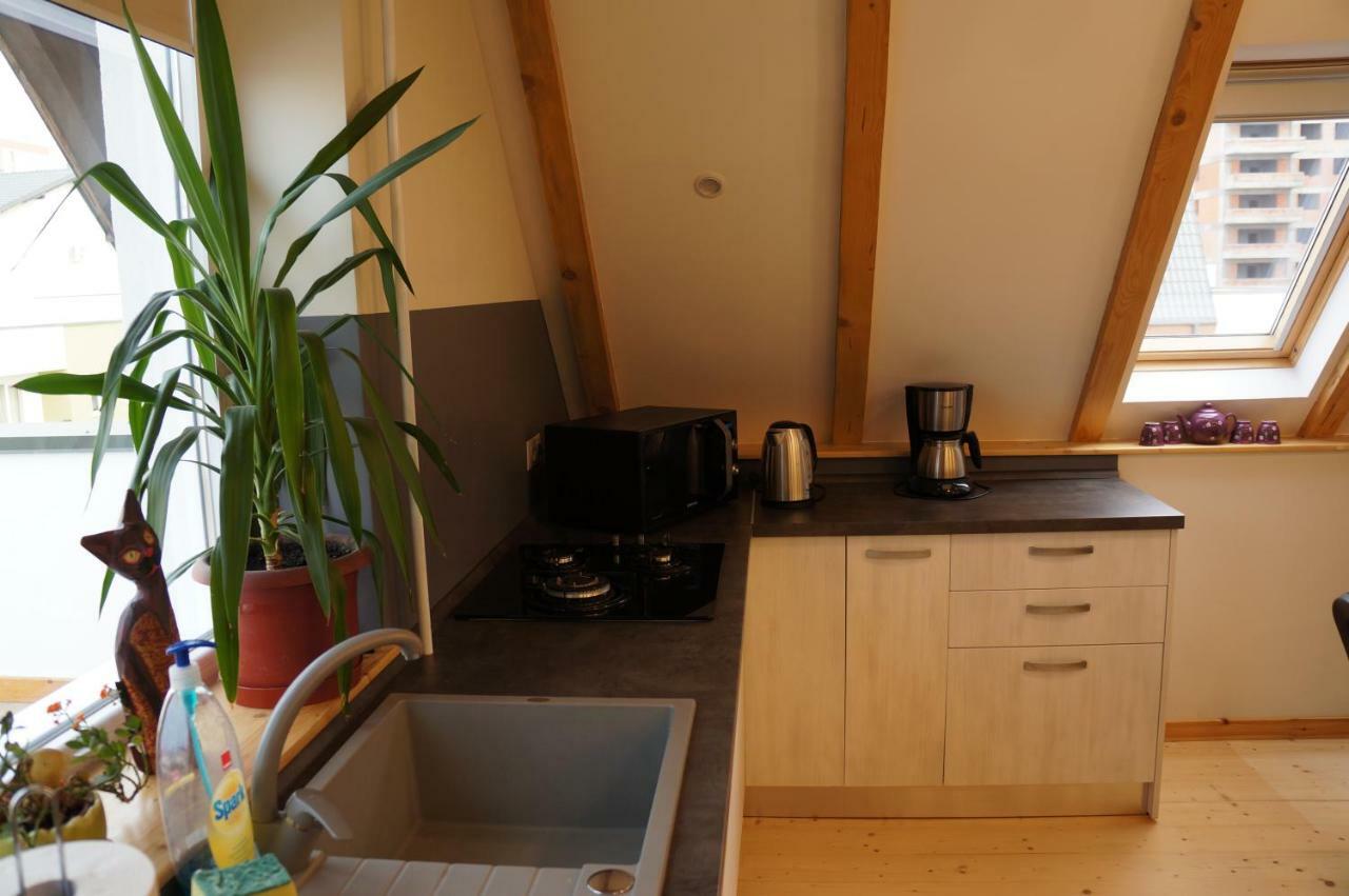 Leisure Apartmens Brasov 아파트 외부 사진