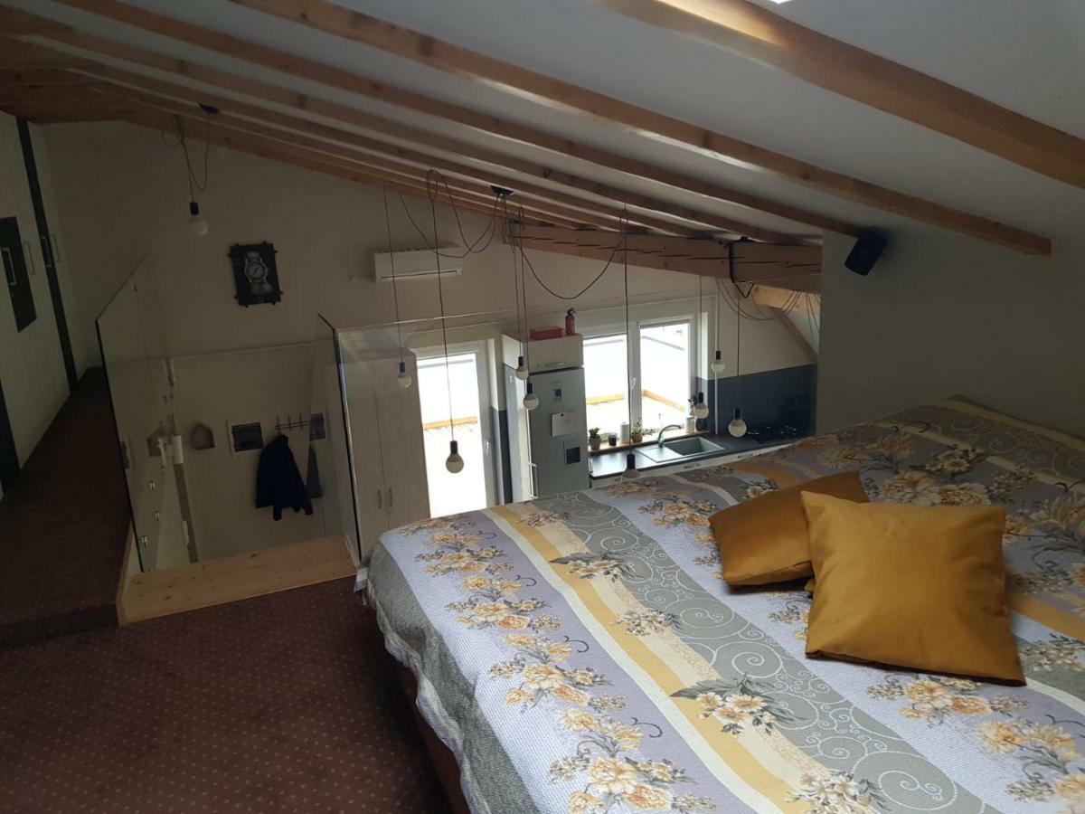 Leisure Apartmens Brasov 아파트 외부 사진