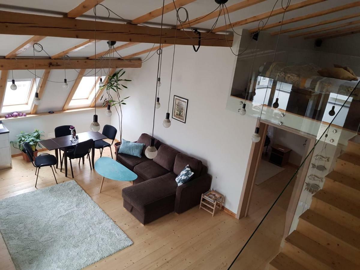Leisure Apartmens Brasov 아파트 외부 사진