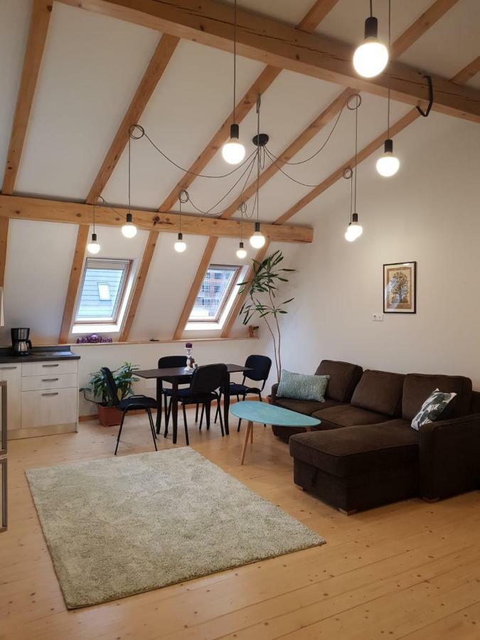 Leisure Apartmens Brasov 아파트 외부 사진