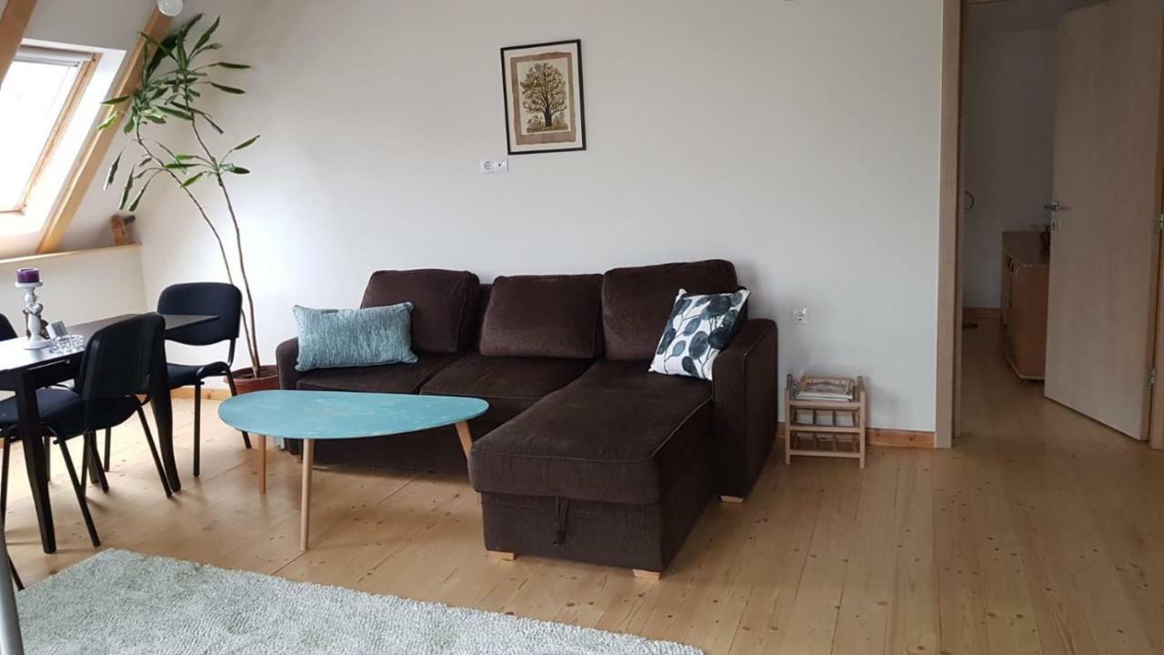 Leisure Apartmens Brasov 아파트 외부 사진